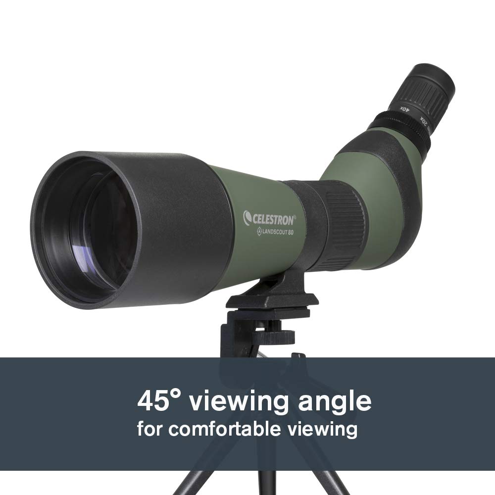 Celestron LandScout - Alcance de detección en ángulo de 80 mm - Óptica Totalmente recubierta - Ocular de Zoom 20-60x - blindado de Goma - trípode de Mesa y Adaptador para Smartphone