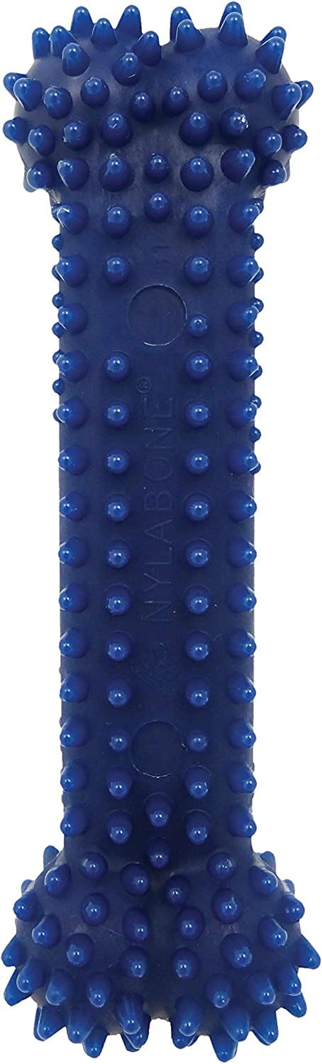 Hueso Flexi Nylabone Regular