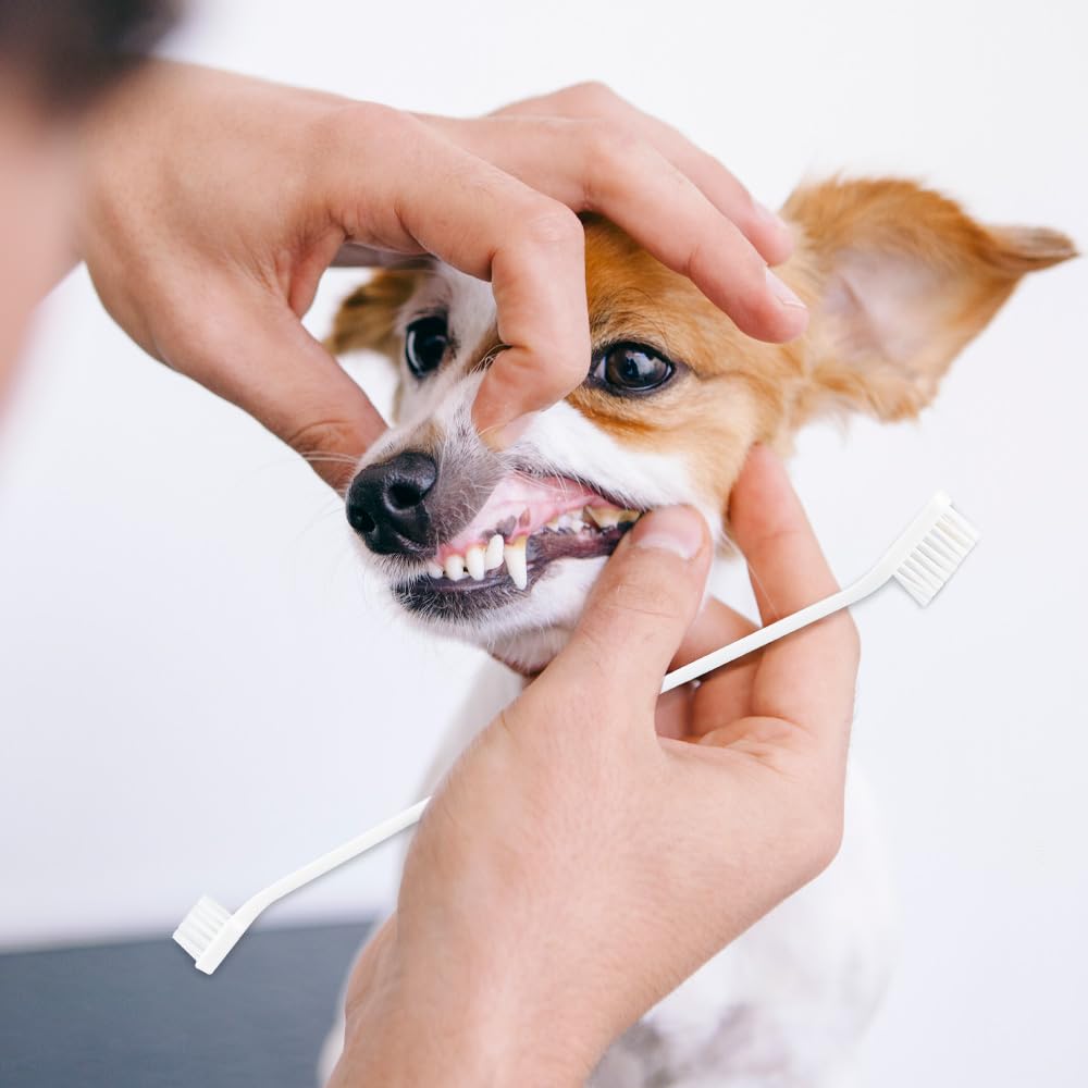 Kit Dental Fancy Pets Menta Suave para Perro