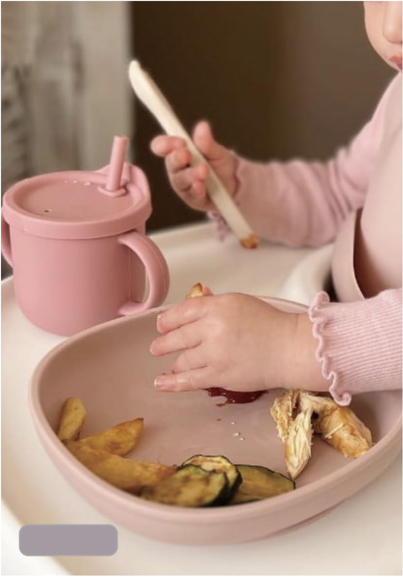 Me Co Mx Platos para Bebe - Alimentaci?n Complementaria Bebe, Cubiertos para Bebe, Platos Bebe, Plato para Bebe, Set de Alimentaci?n para Beb?, Set de 6 Piezas