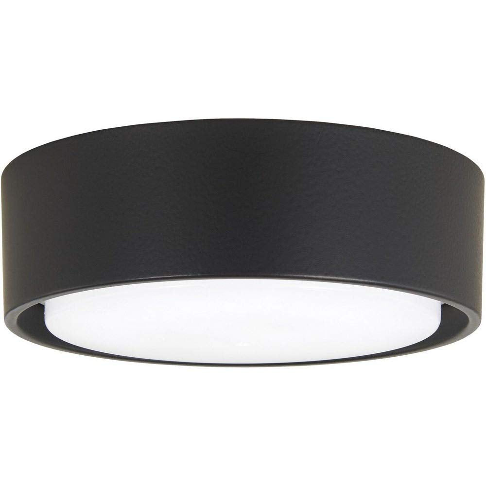 Kit de Luz Simple Minka-Aire Carbón para F787