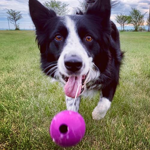 Chew King Fetch Balls Extremely Durable Natural Rubber Toy 3", 3-pack