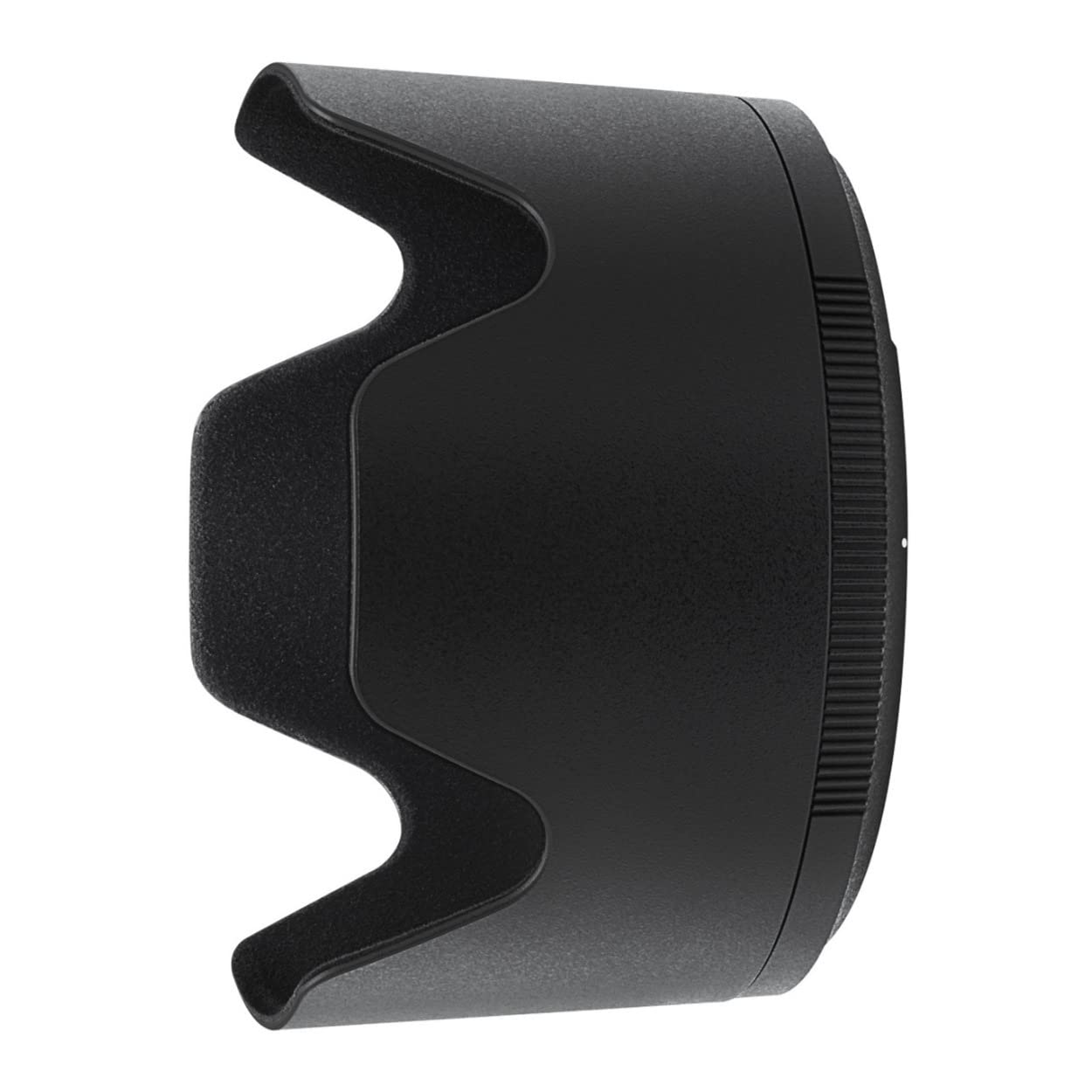 Nikon Nikkor Z 70-200mm f/2.8 VR S, Negro