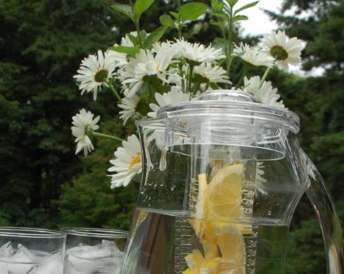 Pichel Prodyne Infusión Fruta Transparente