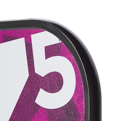 Pala de Pickleball ONIX Graphite Mod Z5 Grafito Fibra de Carbono con Agarre Cómodo