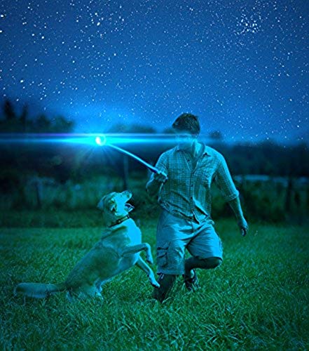CHUCKIT Max Glow Ball, Small