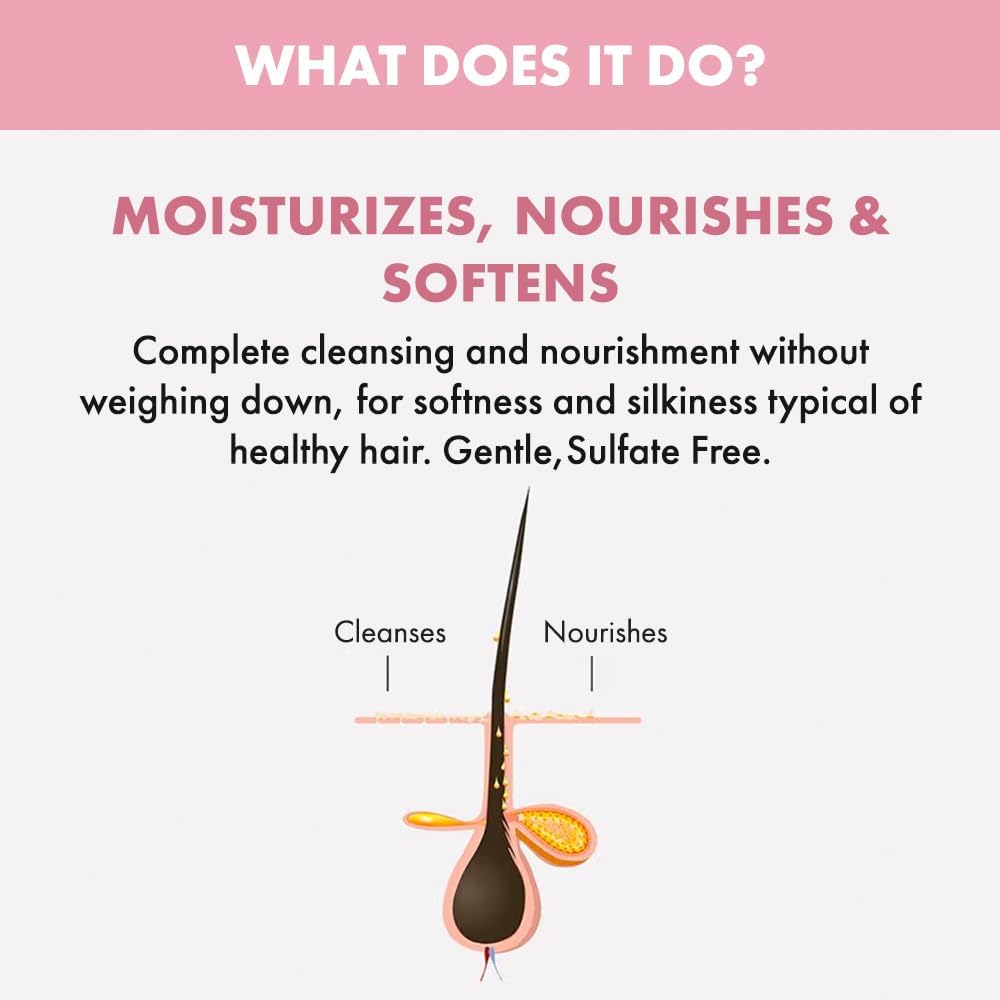 Champú hidratante sin sulfato Alfaparf Milano Semi Di Lino para cabello seco - Nutrición y protección para cabello teñido - Libre de SLS, parabenos y parafina - Calidad profesional de salón - 249 ml