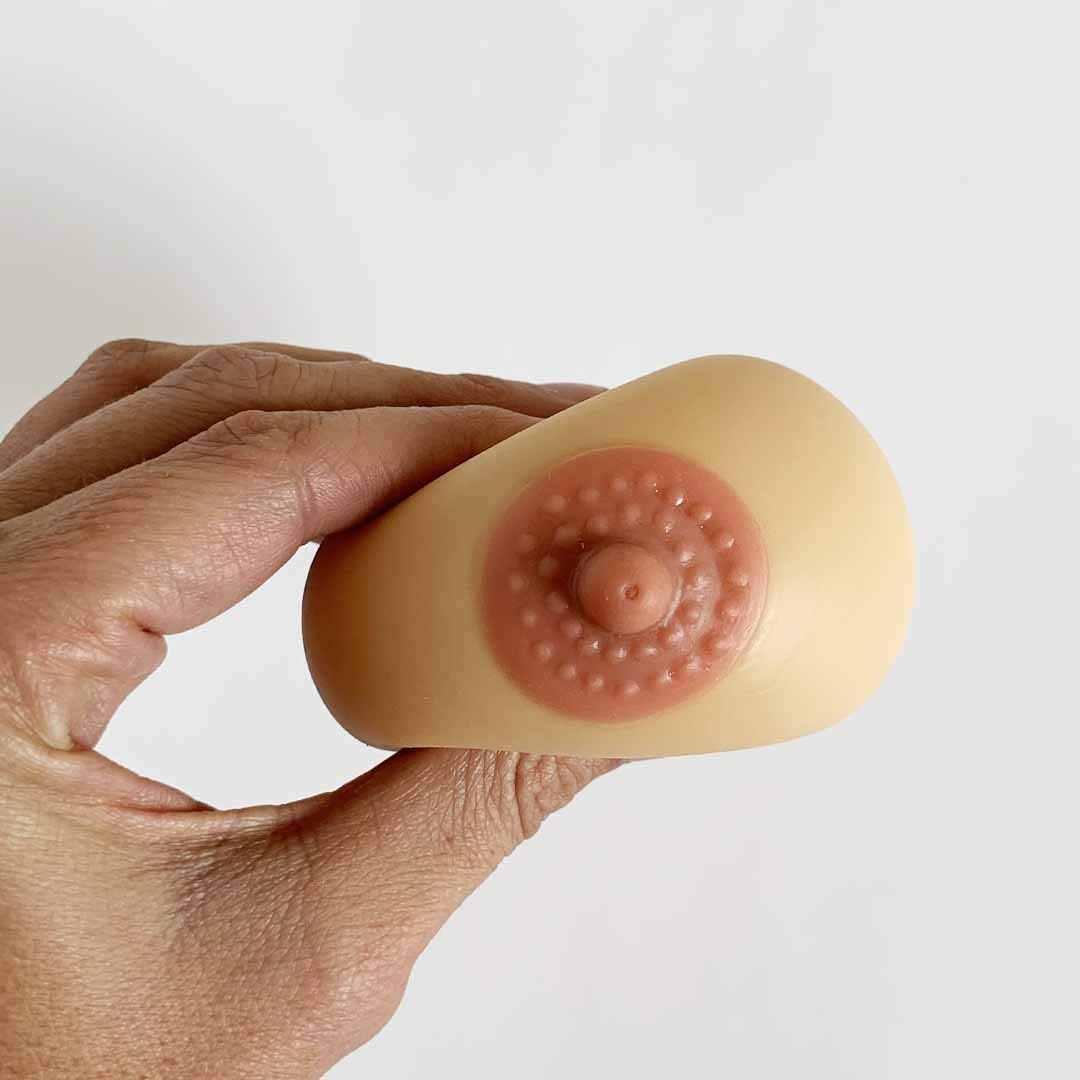 Modelo de Lactancia Materna Ardo Demo Silicona para Profesionales de la Salud