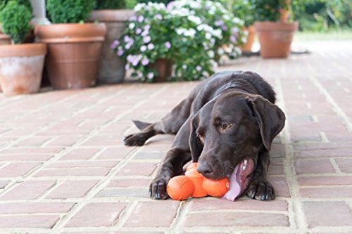 Juguete Masticable PetSafe Grande Deportistas Large para Mascotas