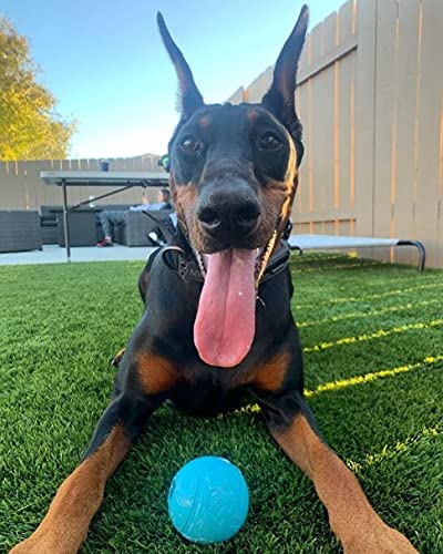 Chew King Fetch Balls Extremely Durable Natural Rubber Toy 3", 3-pack
