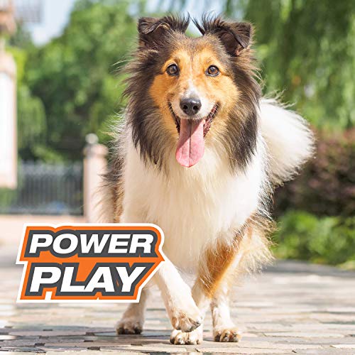 Nylabone Juguete Power Play Soccer Ball