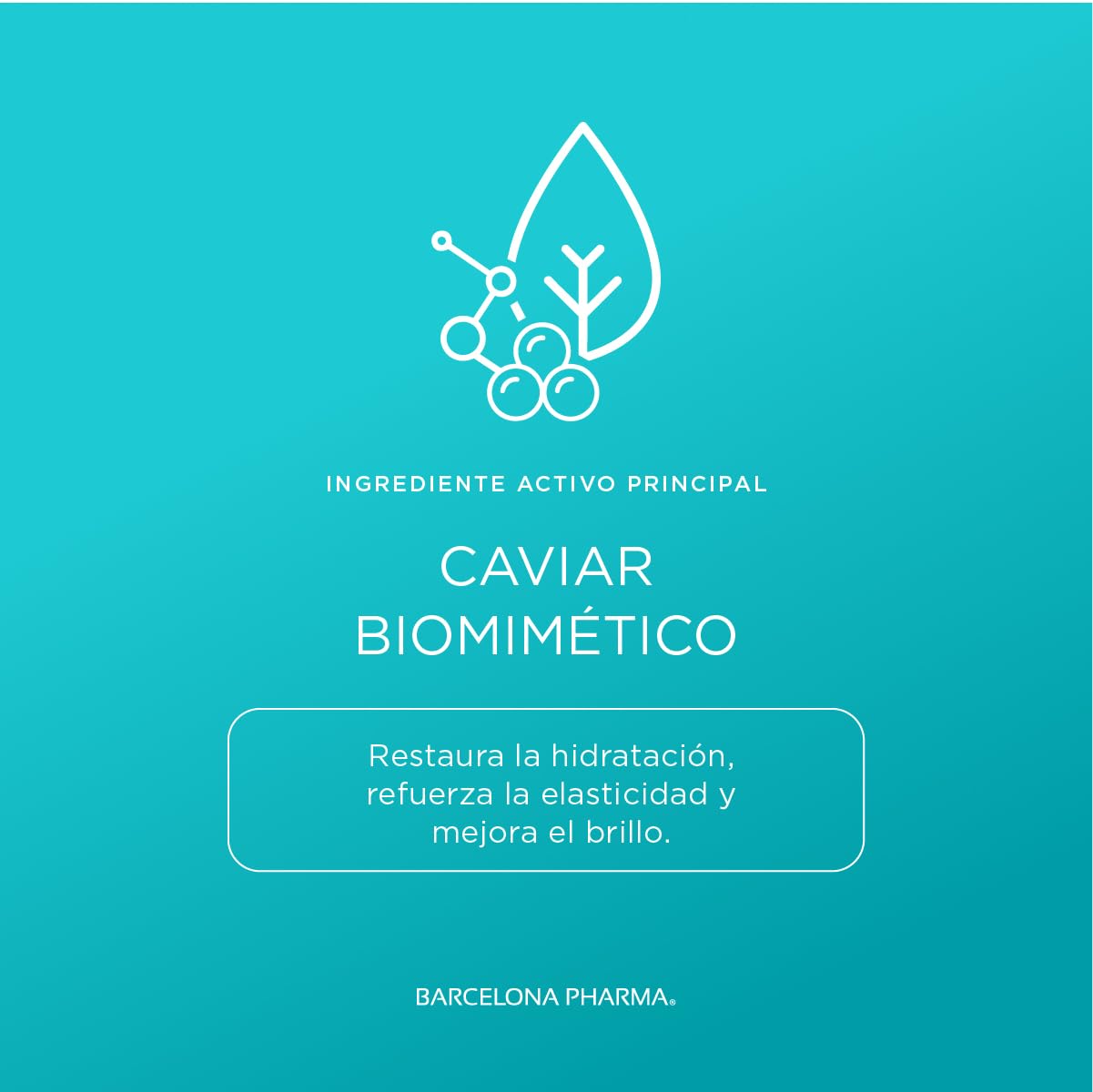 Caviar Professional | Trio Bifase Acondicionador instantáneo para cabello | Hidrata y desenreda | Sin sulfatos y parabenos | Extracto de caviar