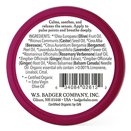 Badger Balm Sleep Balm 0.75oz by Badger Balm