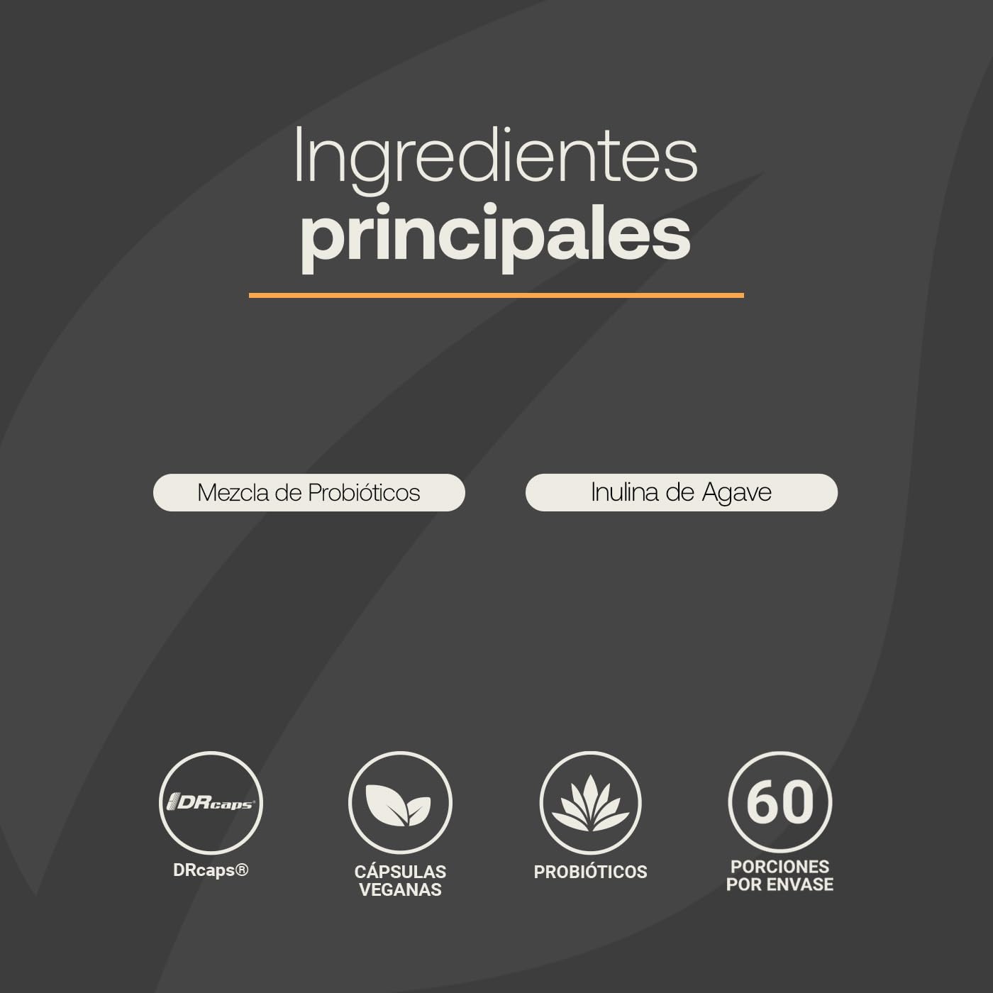 B Life Company Probióticos 80 Billones con Inulina de Agave. 60 cápsulas de 500 mg para 2 meses: Probióticos para Hombre y Mujer. 80 Billion Probiotics Platinum