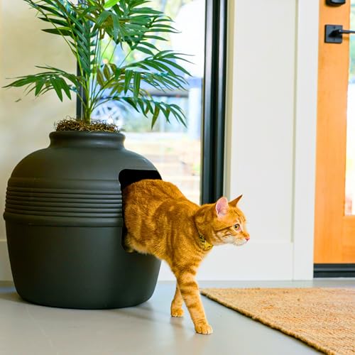 Good Pet Stuff, la Caja de Arena Oculta Original, Plantas Artificiales y Caja de Arena Cerrada para Gatos, Filtro ventilado y de Olor, fácil de Limpiar, Gamuza Negra