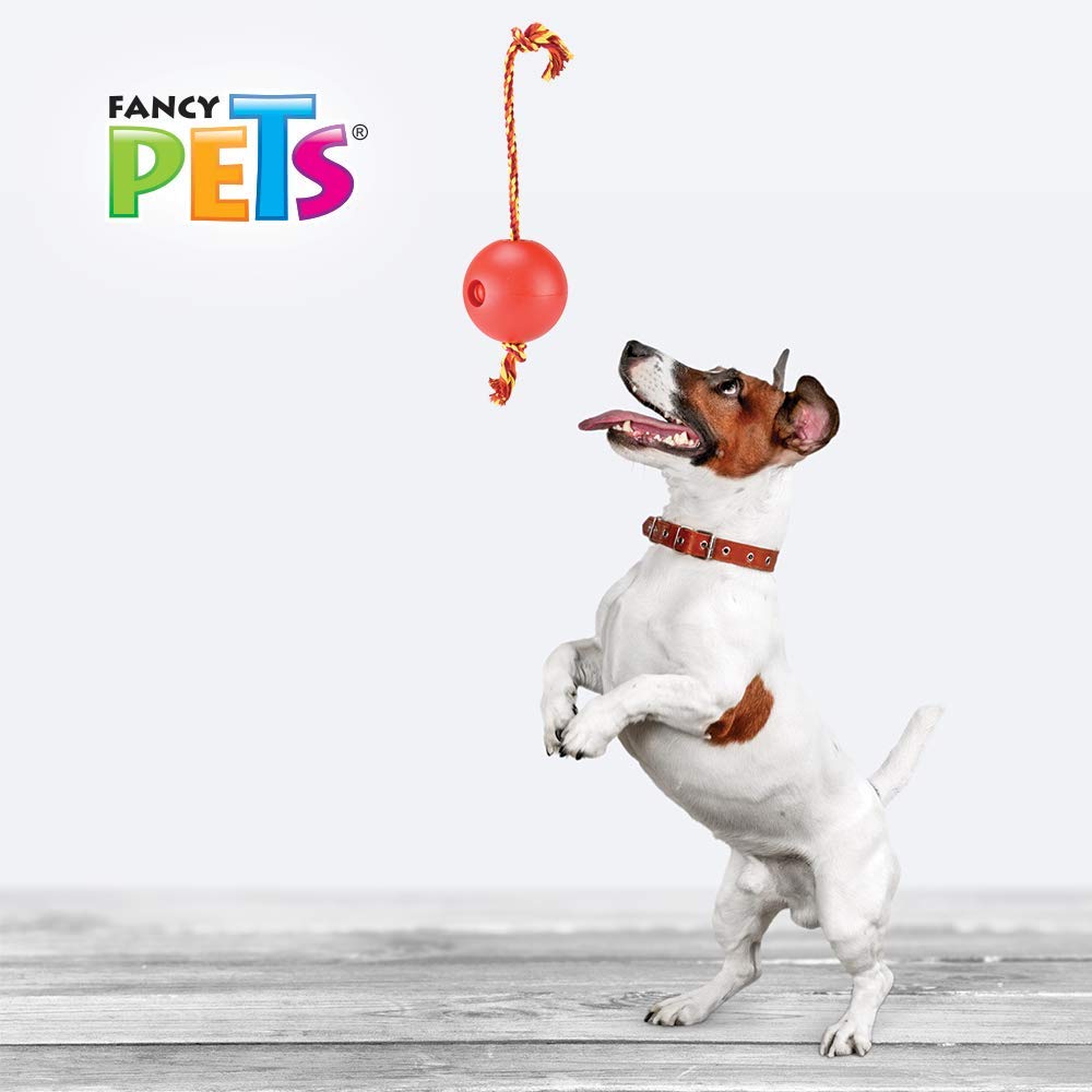 Fancy Pets FL9301 Juguete Bola Flotante