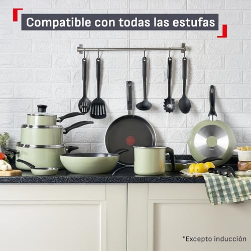 Batería de Cocina T-fal Verde Lichen con Antiadherente Titanium y Tecnología Thermo Señal de 26 Piezas