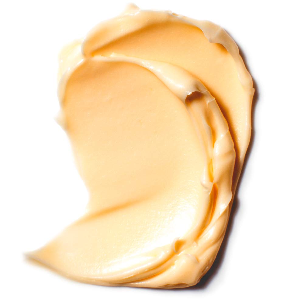 Face Moisturizer by L’Oreal Paris, Age Perfect Hydra-Nutrition Day Cream with Manuka Honey Extract and Nurturing Oils, Anti-Aging Cream to Firm and Improve Elasticity on Dry Skin, Paraben Free, 1.7 oz