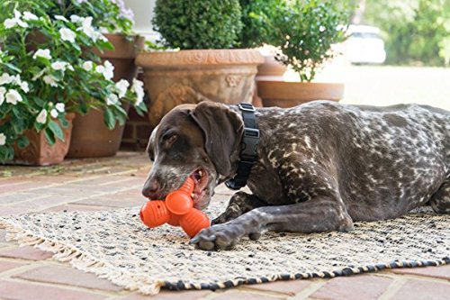 Juguete Masticable PetSafe Grande Deportistas Large para Mascotas
