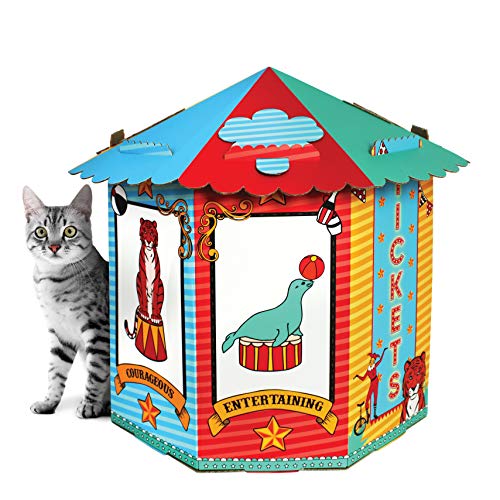 ACC a American Cat Club, Circus
