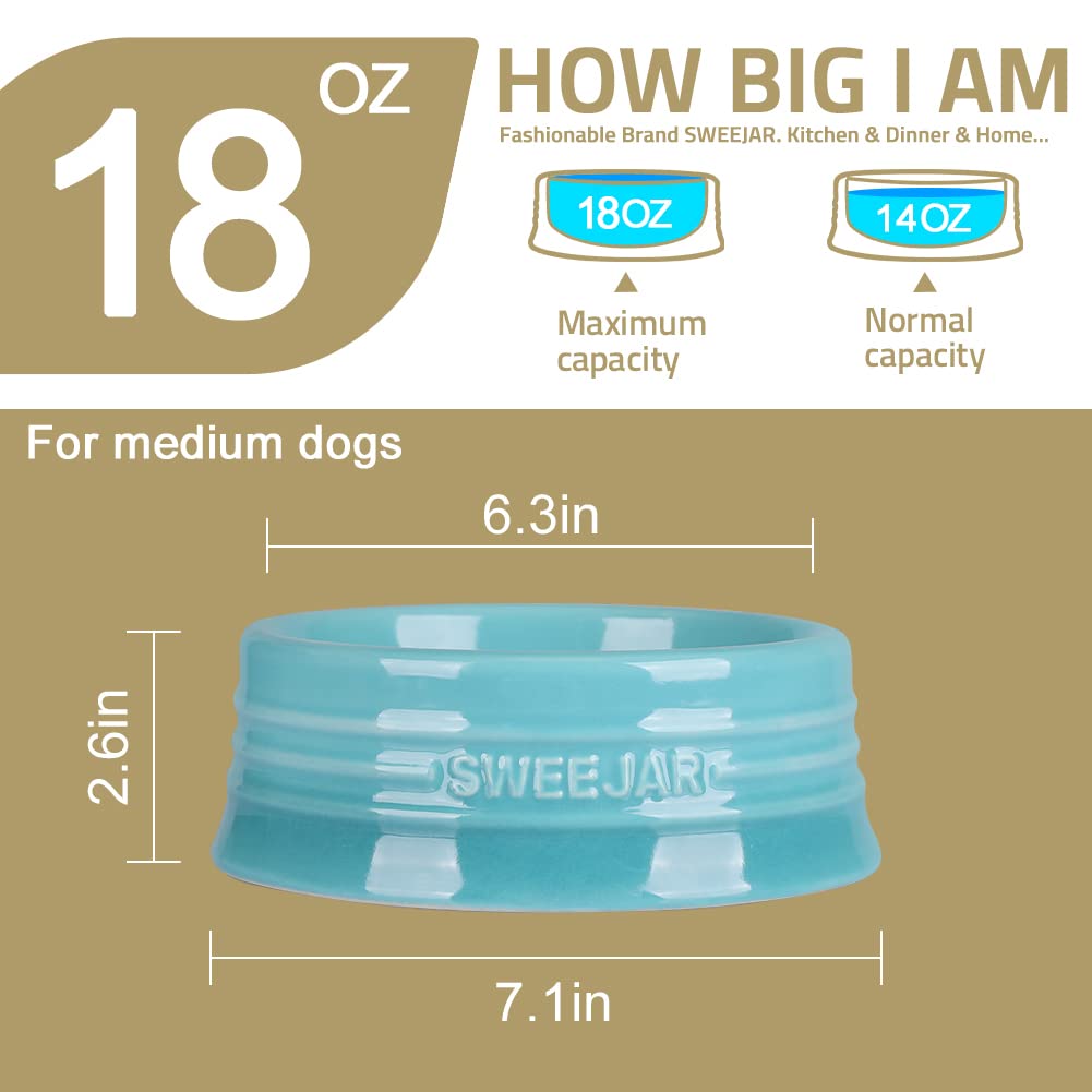 Cuenco de Cerámica SWEEJAR Morado para Perros y Gatos Medianos