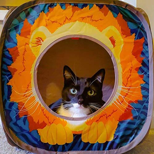 Kitty City Safari Play Cubee, Cat Cube, Play Kennel, Cat Bed, Jungle Cat House