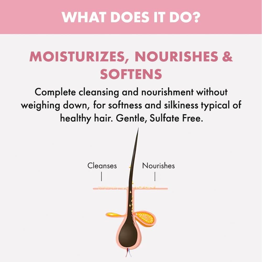 Champú Nutritivo sin sulfatos para Cabello Seco, sin Parabenos - Alfaparf Milano Semi Di Lino - 33.8 oz - Cuidado Profesional para Cabello Tratado con Color