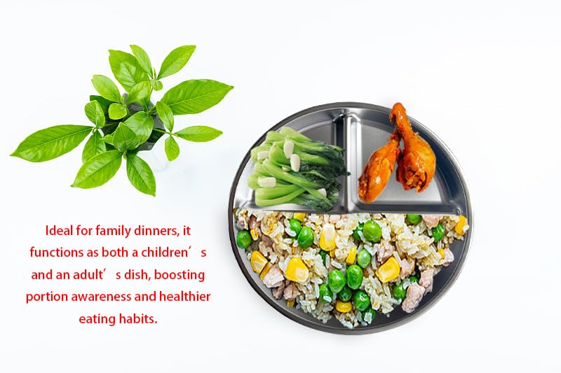 Lijinhe - Juego de 4 platos de acero inoxidable para niños, bandeja de alimentos dividida para adultos, niños, camping, almuerzo y cena