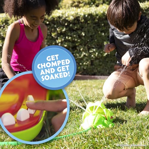 Hasbro Juego de Agua de cocodrilo para Dentista, Juego de Agua para niños, aspersor de Patio Trasero, Juegos al Aire última intervensión para diversión de Verano