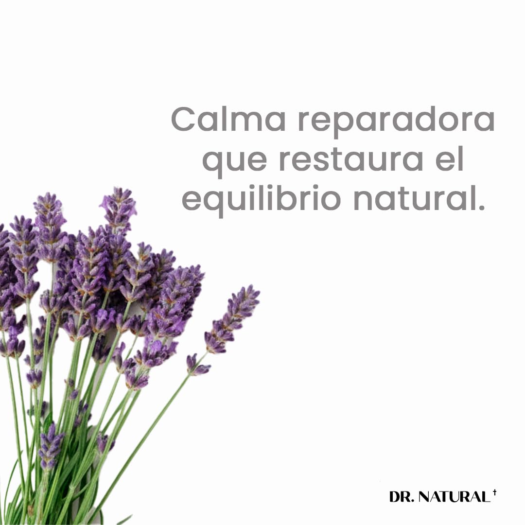 Dr. Natural Jabón de Castilla Líquido para Cuerpo | Natural, Orgánico, Sin Sulfatos y Parabenos | Shampoo y Jabon Facial | Hecho de Plantas, Aceite de Oliva, Coco y Palma, Manteca de Karité y Romero (Lavanda)