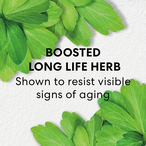 bareMinerals Skinlongevity Long Life Herb Serum Unisex 1 oz