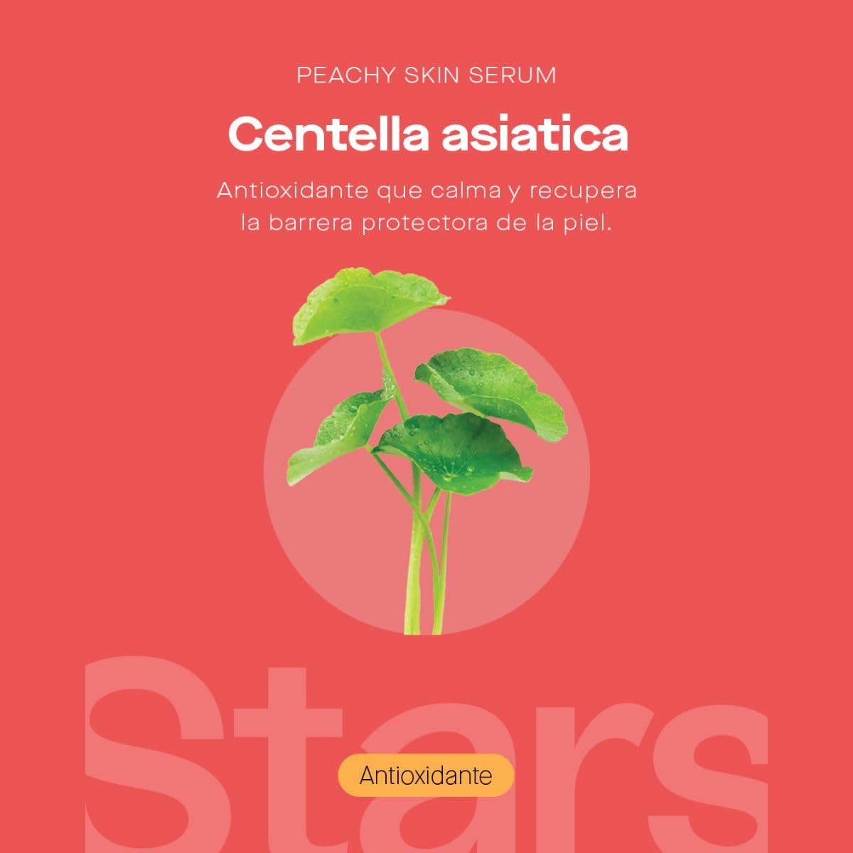Blooms & Blends Family - Peachy Skin Serum - Suero seborregulador