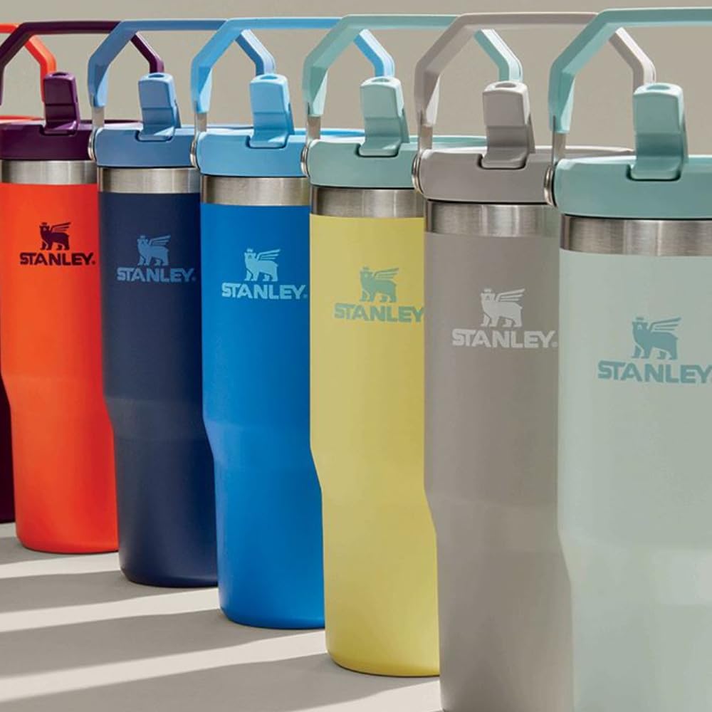 Termo de Acero Inoxidable Stanley Pomelo con Popote Abatible
