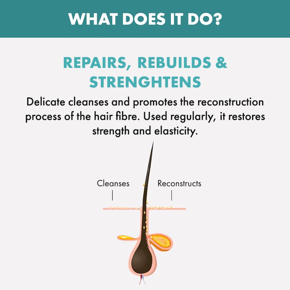 Champú reparador de reconstrucción para cabello dañado con semillas de lino Alfaparf Milano 249ml - Sin sulfatos, parabenos ni parafina - Ideal para cabello tratado con color - Calidad de salón profesional