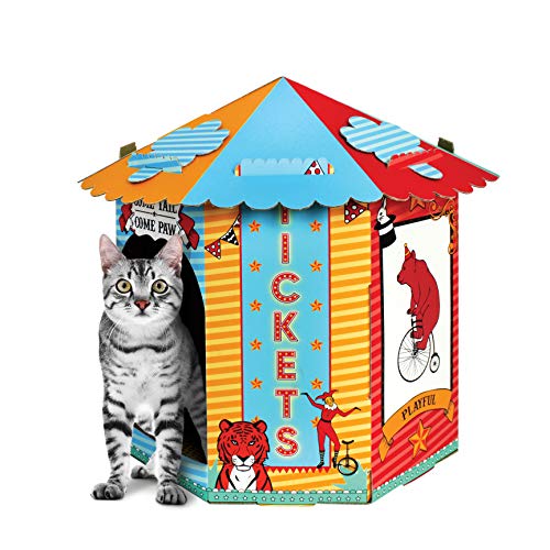 ACC a American Cat Club, Circus