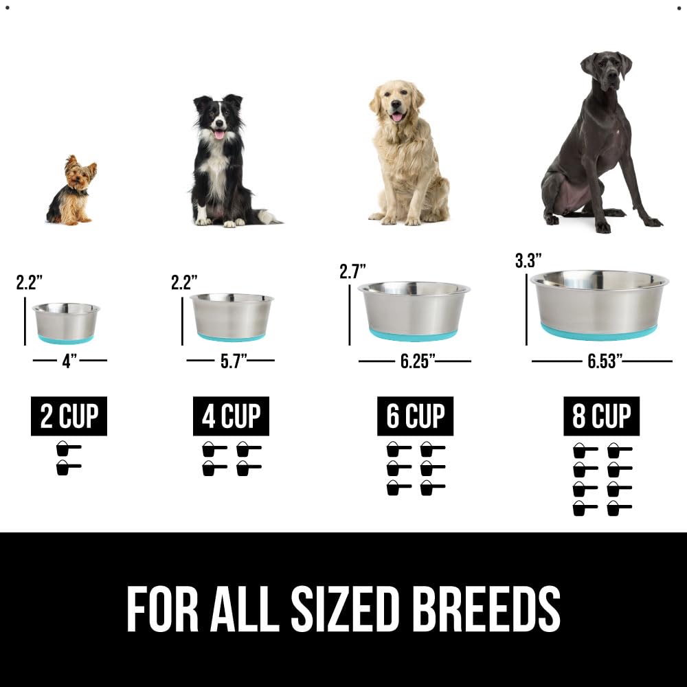Gorilla Grip Cuencos para Perros de Acero Inoxidable de Primera Calidad, Juego de 2 Unidades, Base de Goma Que Protege los Suelos y Evita Que el Cuenco se deslice, 8 Tazas, Turquesa
