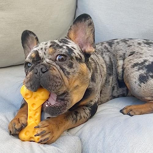 Juguete Nylabone Hueso Sabor Queso Mediano PowerChew