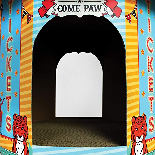 ACC a American Cat Club, Circus