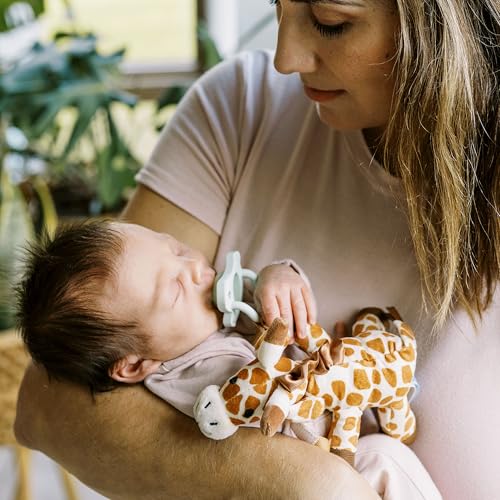 Soporte para Chupete y Mordedor Dr. Brown's Jirafa HappyPaci Verde Claro para Bebé 0-12 Meses