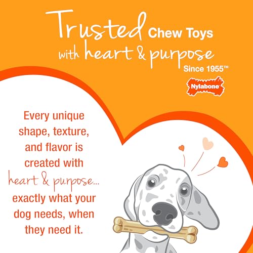 Juguete Masticar Huesos Nylabone Tocino y Sabor a Bistec Mediano para Perros Masticadores Agresivos