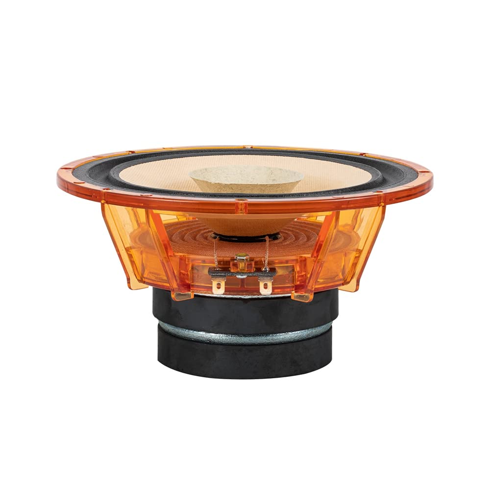 Altavoz Audiophile HiFi Lii Song 6.5 Pulgadas Cono de Papel 2023 Actualización F6S Par