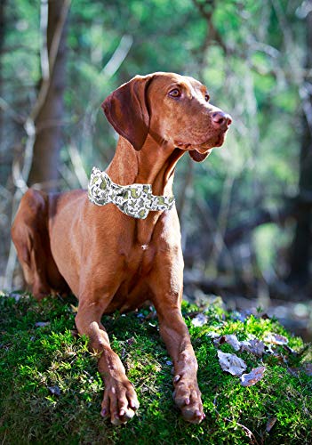 ARING PET Collar de perro con lazo, collar ajustable para perros pequeños, medianos y grandes