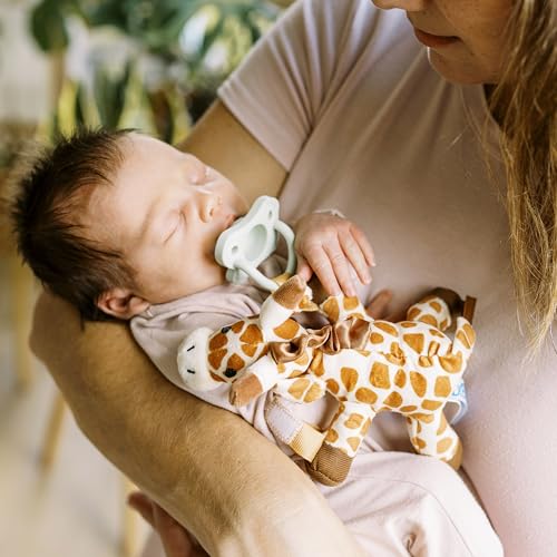 Soporte para Chupete y Mordedor Dr. Brown's Jirafa HappyPaci Verde Claro para Bebé 0-12 Meses