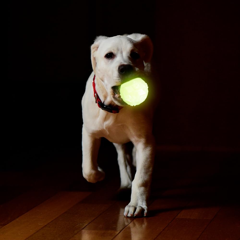Fancy Pets Juguete Pelota Diamante Glow para Perro Brilla en la Oscuridad