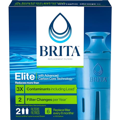 BRITA - Filtro de agua Longlast, filtros de repuesto de larga duración para jarras y dispensadores, reduce el plomo, sin BPA, 2 unidades