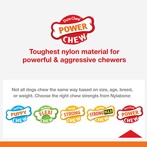 Juguete Masticable para Perros Nylabone Regular Sabor Cheesesteak Tamaño Extra Grande