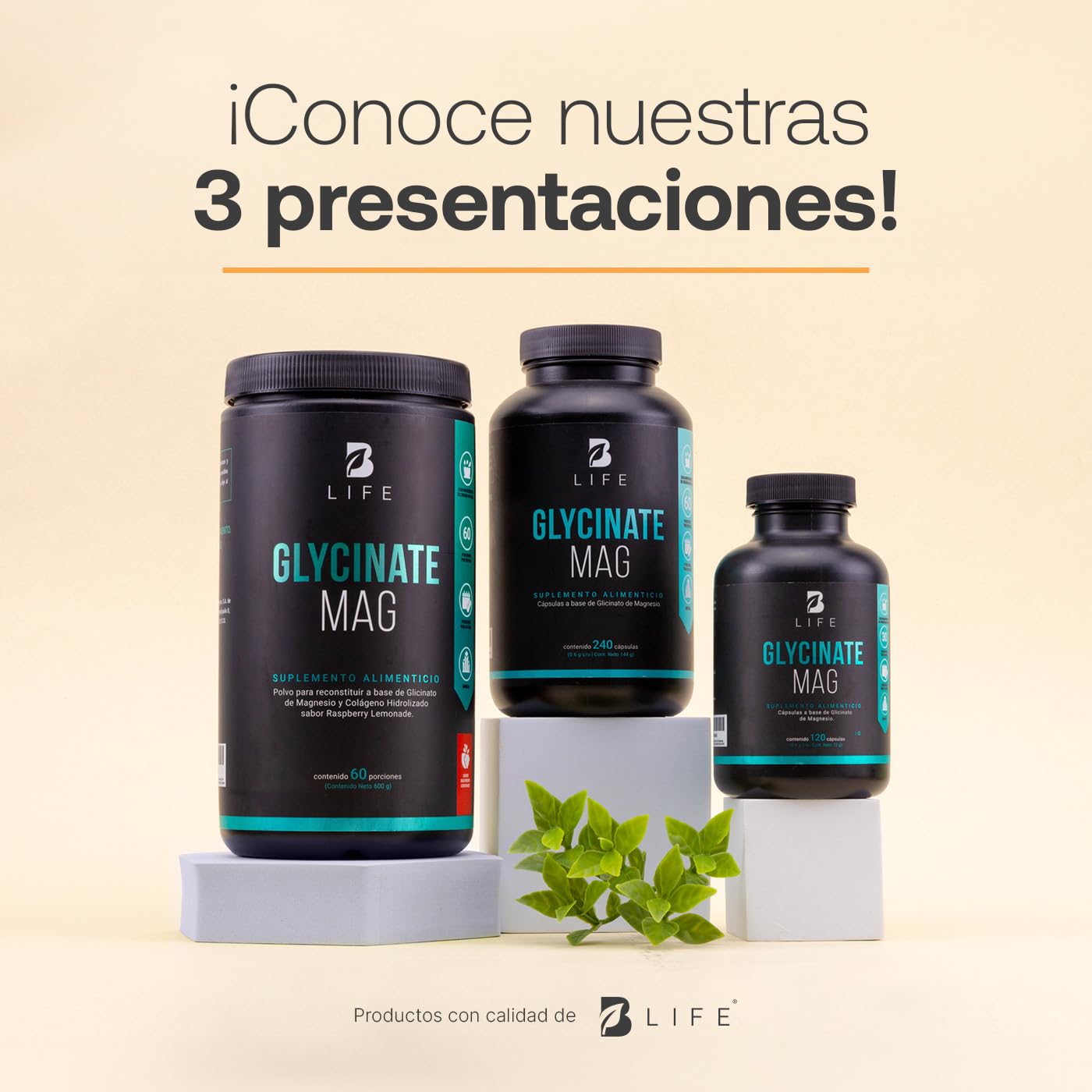 B Life Company Glicinato de Magnesio de 120 Cápsulas con 408 mg de alta absorción. Ingredientes Naturales. Glycinate Mag.