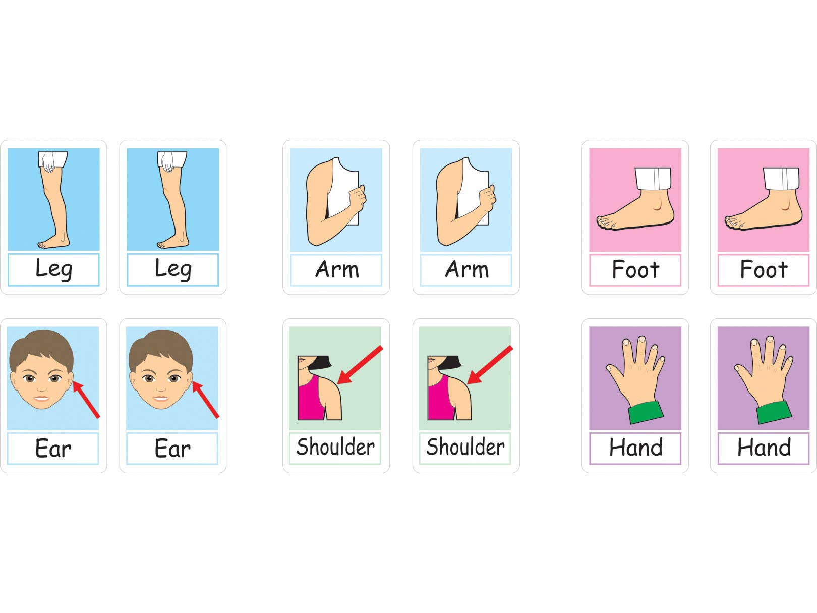 Juego de Memoria TEACH PLAY My Body Inglés Niños y Adolescentes