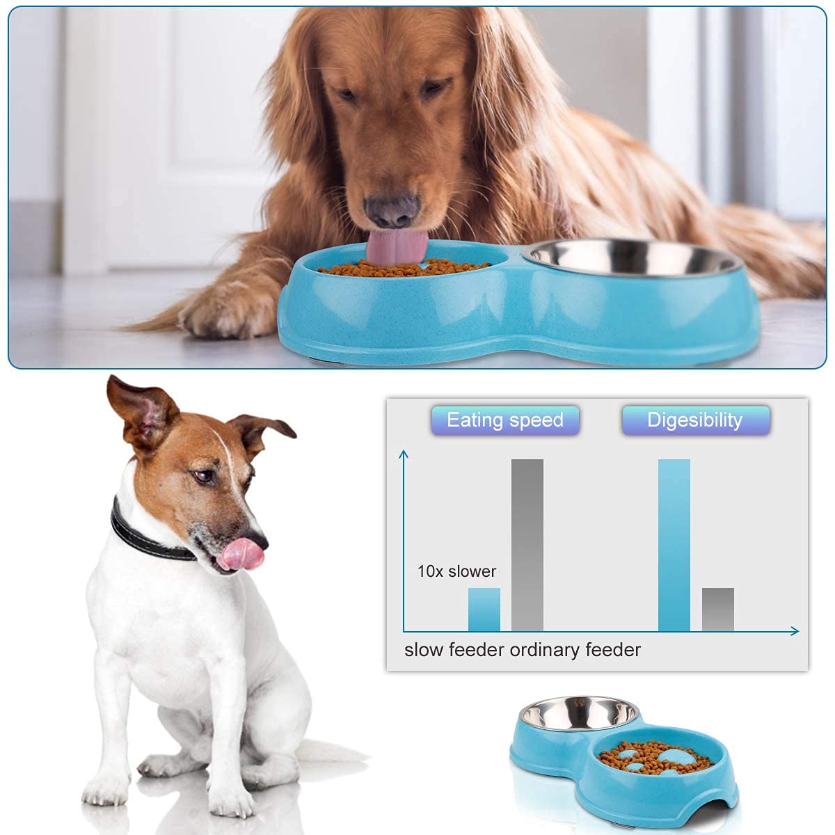 FUXINGONE Comedero para Perros y Gato, Platos para Mascota de Acero Inoxidable con tapete Antideslizante, Tazones Dobles para Agua y Comida, para Perros y Gatos (Azul)