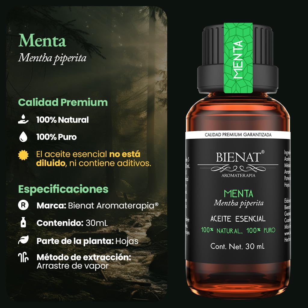 BIENAT AROMATERAPIA Aceite Esencial de Menta 30mL | 100% Puro y Concentrado | Ideal para Difusor de Aromas, Humidificador, Aromaterapia, Masajes, Meditación, Jabones y Velas | Esencia Natural en Gotas